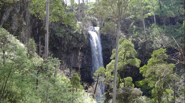 Mt Buller - Bindaree Falls